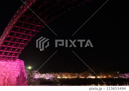 『錦帯橋とサクラ』夜桜 ライトアップ 山口県岩国 #日本観光 Kintai Bridge 『錦帯橋とサクラ』夜桜 ライトアップ 山口県岩国 #日本観光 Kintai Bridge 113653494