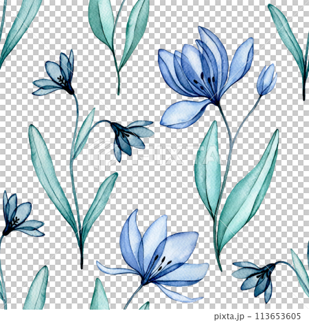 seamless pattern of transparent flowers, watercolor drawing. blue wildflowers, x-ray seamless pattern of transparent flowers, watercolor drawing. blue wildflowers, x-ray 113653605