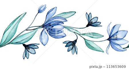 seamless border of transparent flowers, watercolor pattern. blue wildflowers, x-ray seamless border of transparent flowers, watercolor pattern. blue wildflowers, x-ray 113653609