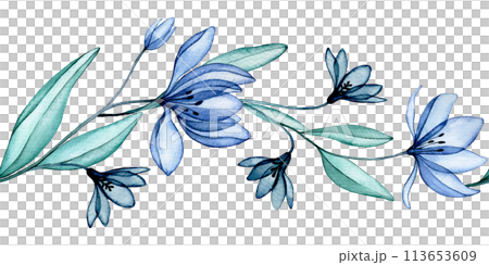 seamless border of transparent flowers, watercolor pattern. blue wildflowers, x-ray seamless border of transparent flowers, watercolor pattern. blue wildflowers, x-ray 113653609