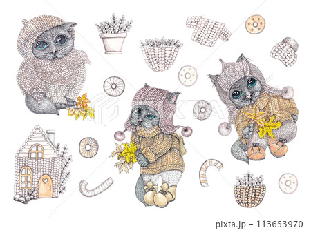 Cartoon cat in knitted warm clothes. Character with a briefcase and herbarium. Autumn tones. Isolated illustration of a schoolboy in mixed media. Large set for your design Cartoon cat in knitted warm clothes. Character with a briefcase and herbarium. Autumn tones. Isolated illustration of a schoolboy in mixed media. Large set for your design 113653970