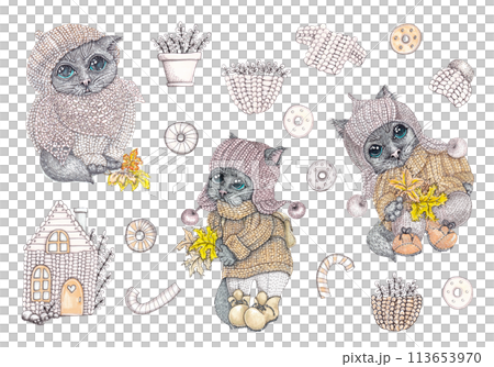 Cartoon cat in knitted warm clothes. Character with a briefcase and herbarium. Autumn tones. Isolated illustration of a schoolboy in mixed media. Large set for your design Cartoon cat in knitted warm clothes. Character with a briefcase and herbarium. Autumn tones. Isolated illustration of a schoolboy in mixed media. Large set for your design 113653970