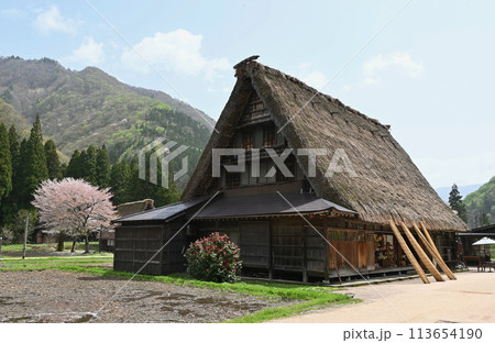 春の五箇山菅沼集落 春の五箇山菅沼集落 113654190