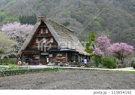 春の五箇山菅沼集落 113654192