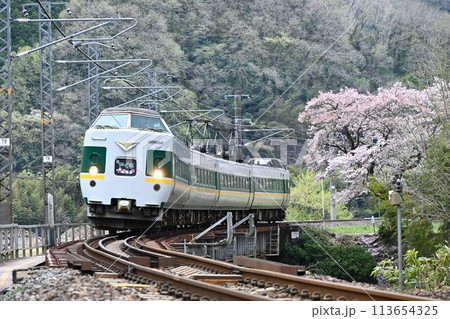 桜咲く頃 伯備線を疾走する 国鉄型381系振子特急 桜咲く頃 伯備線を疾走する 国鉄型381系振子特急 113654325