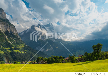 View on the alpine valley Grindelwald. Jungfrau, Switzerland. Under the Bernese alps. Mountain village. 113654404
