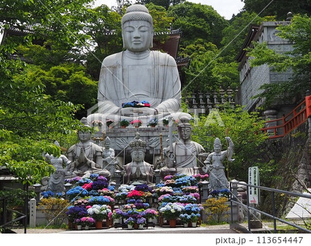壷阪寺の紫陽花 壷阪寺の紫陽花 113654447