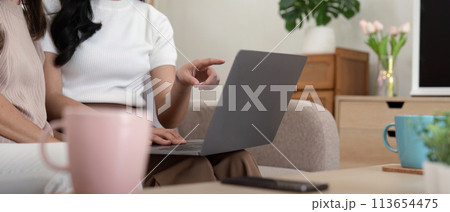 Senior mother and adult daughter relaxing and looking at laptop together at home 113654475