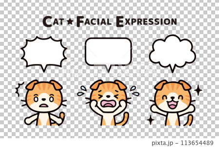 Set of illustrations of Scottish Fold with various expressions and speech bubbles 113654489