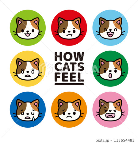 かわいい猫のキャラクターの表情アイコンセット 113654493