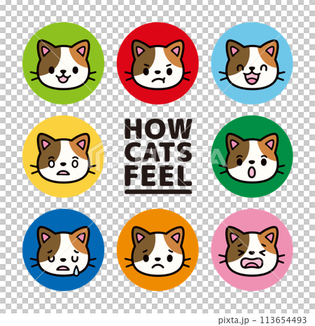 かわいい猫のキャラクターの表情アイコンセット 113654493