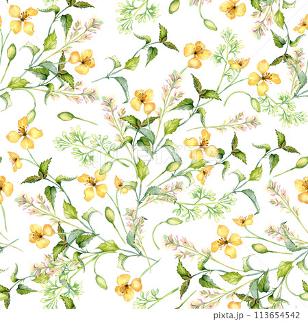 Yellow medicinal flowers, nettle in watercolor seamless pattern isolated on white. Celandine and urtica dioica in sketch. Medicinal plant, floral print hand drawn. Design for label, package, postcard 113654542