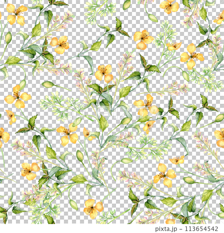 Yellow medicinal flowers, nettle in watercolor seamless pattern isolated on white. Celandine and urtica dioica in sketch. Medicinal plant, floral print hand drawn. Design for label, package, postcard 113654542