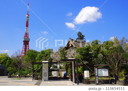 芝公園から見る東京タワー 芝公園から見る東京タワー 113654551