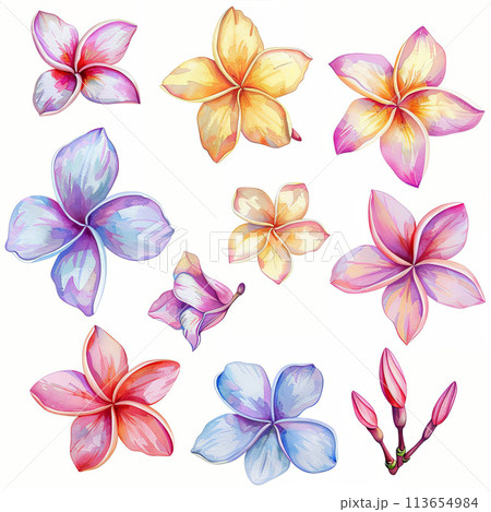 Beautiful watercolor frangipani clipart pack in delicate pastel hues, ideal for creating elegant floral patterns, blog headers, and spa branding. Beautiful watercolor frangipani clipart pack in delicate pastel hues, ideal for creating elegant floral patterns, blog headers, and spa branding. 113654984