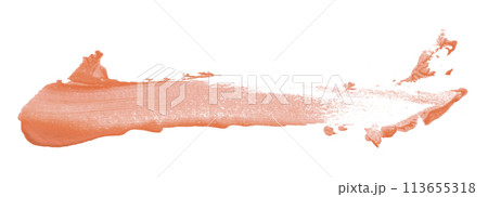 Orange brush isolated on white background. golden apricot color Orange brush isolated on white background. golden apricot color 113655318