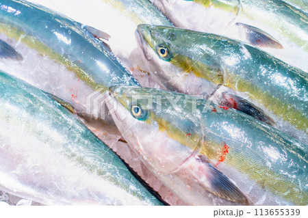 魚市場で売られている魚の写真 魚市場で売られている魚の写真 113655339