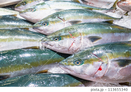 魚市場で売られている魚の写真 魚市場で売られている魚の写真 113655340