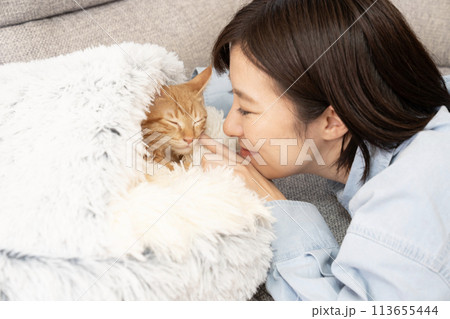 茶トラの仔猫の頬に触れる女性 113655444