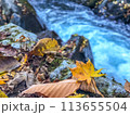 川の流れと落ち葉 113655504