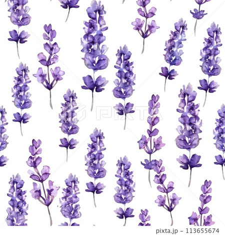 Seamless Lavender Watercolor Pattern for Design and Backgrounds Seamless Lavender Watercolor Pattern for Design and Backgrounds 113655674