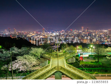 桜満開の竜王公園から眺める広島市街夜景(広島県広島市) 113655933