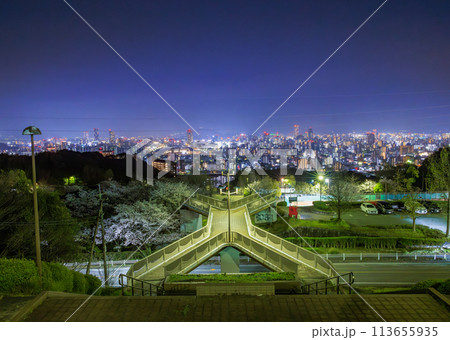 桜満開の竜王公園から眺める広島市街夜景(広島県広島市) 桜満開の竜王公園から眺める広島市街夜景(広島県広島市) 113655935