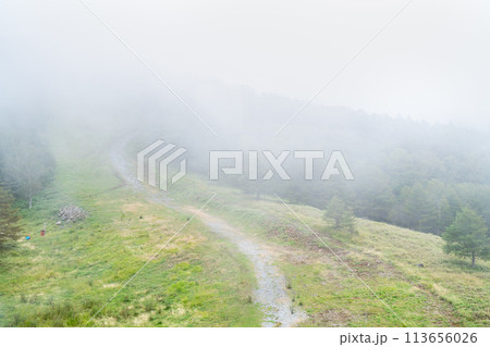 日本の長野県の観光地「八ヶ岳」の写真。霧の山のイメージ。 日本の長野県の観光地「八ヶ岳」の写真。霧の山のイメージ。 113656026