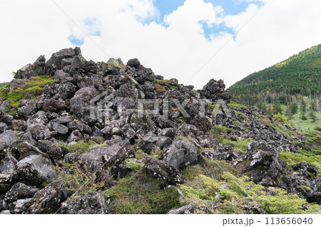 日本の長野県の観光地「八ヶ岳」の写真。 113656040