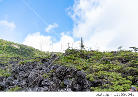日本の長野県の観光地「八ヶ岳」の写真。 113656043