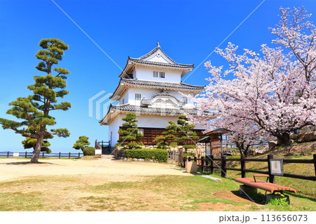 【香川県】桜咲く春の丸亀城（現存天守と石垣の名城） 113656073