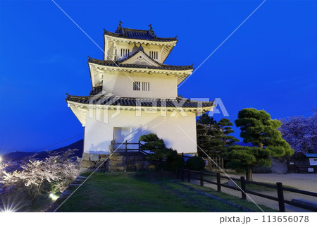 【香川県】桜咲く春の丸亀城（ライトアップされた丸亀城と夜桜）石垣の名城 113656078