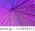 紫の光の背景 113656213