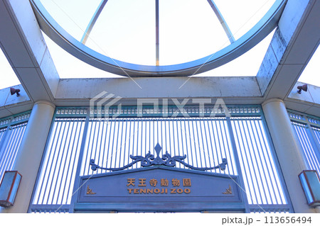 大阪府大阪市、天王寺動物園の風景 113656494