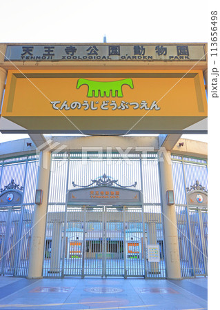 大阪府大阪市、天王寺動物園の風景 113656498