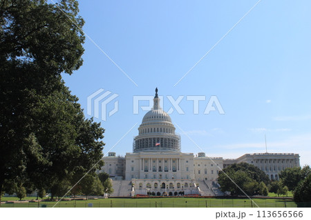 United States, Washington, DC. Sunny day. Capitol Building United States, Washington, DC. Sunny day. Capitol Building 113656566