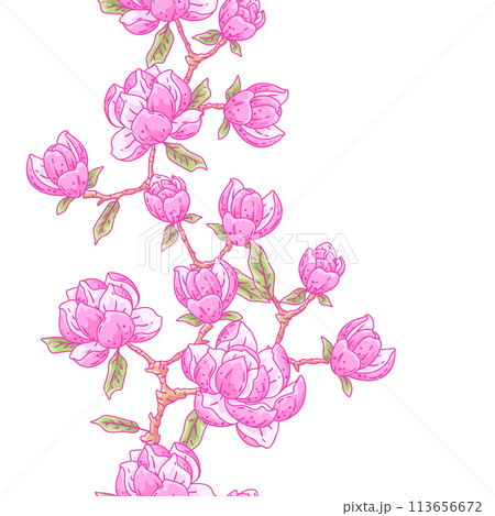 Pattern with magnolia flowers. Beautiful decorative plants. 113656672
