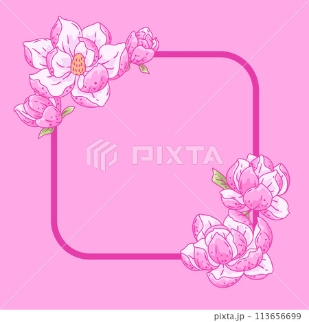 Frame with magnolia flowers. Beautiful decorative plants. Frame with magnolia flowers. Beautiful decorative plants. 113656699