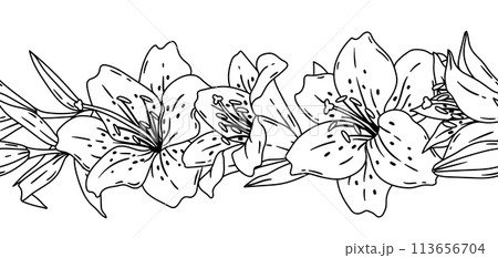 Pattern with lilies flowers. Beautiful decorative plants. Pattern with lilies flowers. Beautiful decorative plants. 113656704