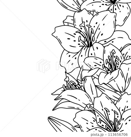 Pattern with lilies flowers. Beautiful decorative plants. Pattern with lilies flowers. Beautiful decorative plants. 113656706