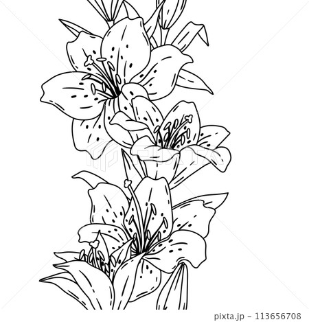 Pattern with lilies flowers. Beautiful decorative plants. Pattern with lilies flowers. Beautiful decorative plants. 113656708