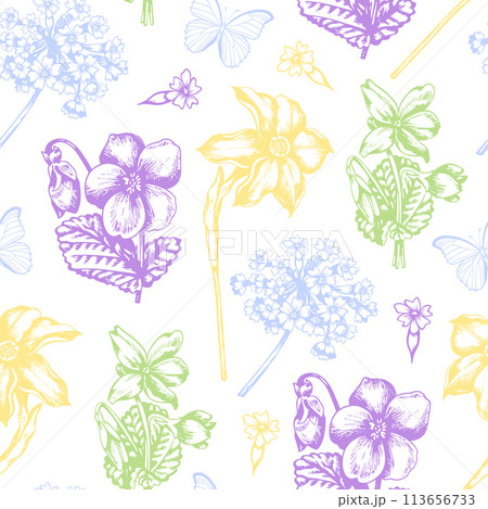 Vintage seamless pattern with violets and daffodil. 113656733