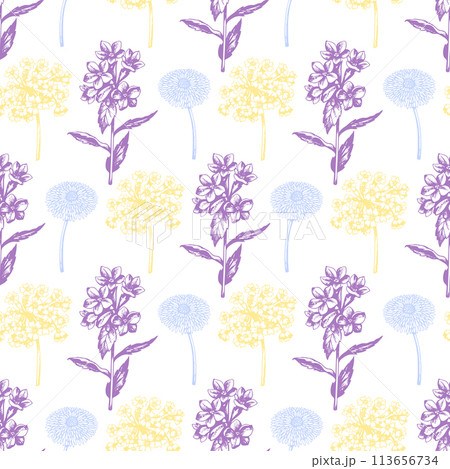 Vintage seamless pattern with spring flowers primrose. 113656734