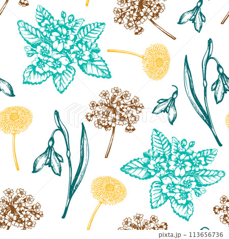Vintage seamless pattern with snowdrops and primroses 113656736