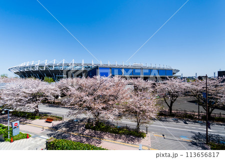 東京都 桜が満開の味の素スタジアム 東京都 桜が満開の味の素スタジアム 113656817