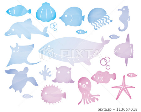 海の生き物フレームセット 113657018