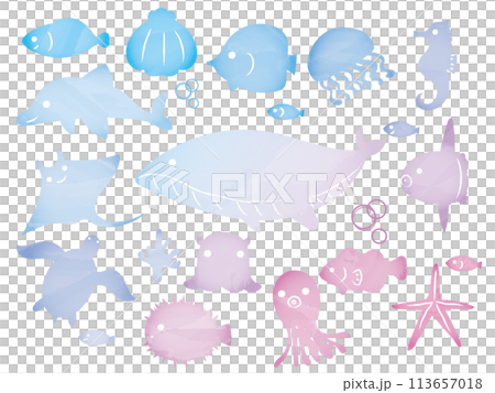 海の生き物フレームセット 113657018