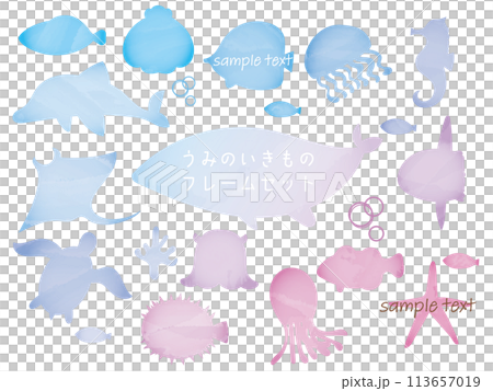 水彩海洋生物 113657019