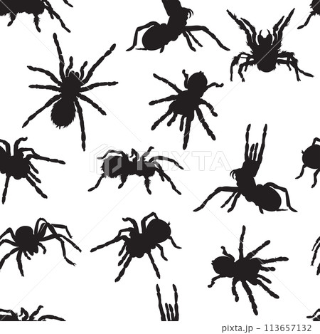 spider, tarantula, insect, various poses, movements and foreshortenings of figures, black, white, pattern spider, tarantula, insect, various poses, movements and foreshortenings of figures, black, white, pattern 113657132