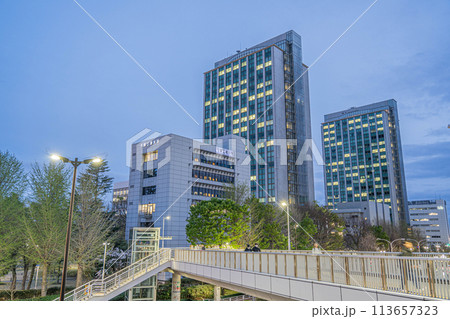 千葉工業大学 113657323